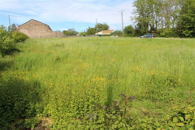 Le terrain du projet