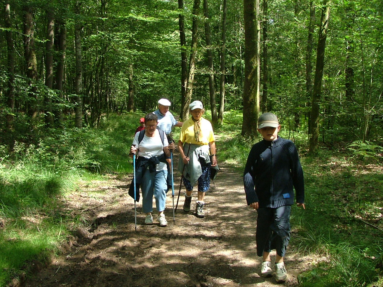 Paysage des Ardennes : Forêt de Signy le Petit